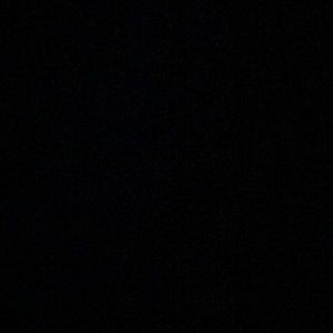 Meet your Posher, Bryant